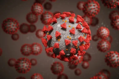 ЕМПОКС (англ. MPOX) оголошено надзвичайною ситуацією у сфері громадського здоров’я, що має міжнародне значення (PHEIC) — рекомендації для Європейського регіону ВООЗ ЕМПОКС (англ. MPOX) оголошено надзвичайною ситуацією у сфері громадського здоров’я, що має міжнародне значення (PHEIC) — рекомендації для Європейського регіону ВООЗ