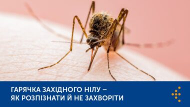 Горячка західного нілу Горячка західного нілу